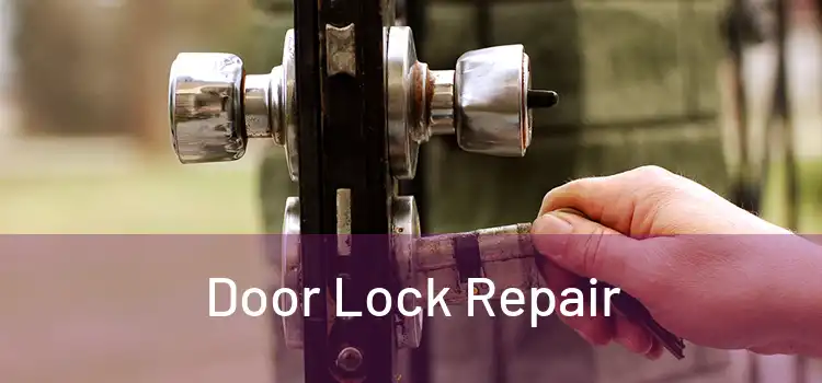  Door Lock Repair 