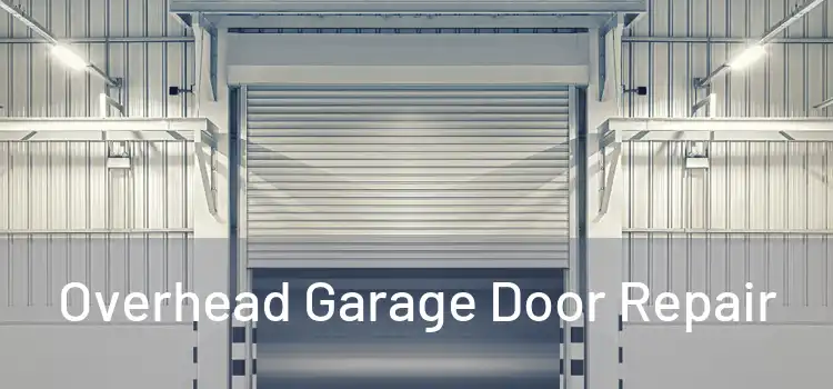  Overhead Garage Door Repair 